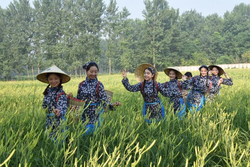 精品速冻黄花菜厂家直发供应电商市场商超
