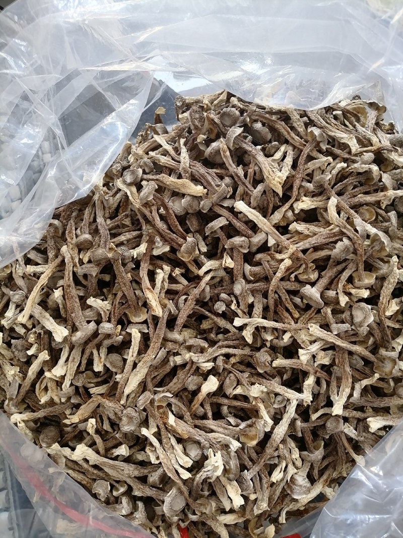 精中条鹿茸菇，干度足，颜色好，无碎，实物实拍，可视频看货