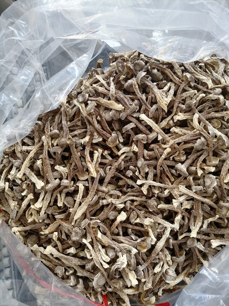 精中条鹿茸菇，干度足，颜色好，无碎，实物实拍，可视频看货