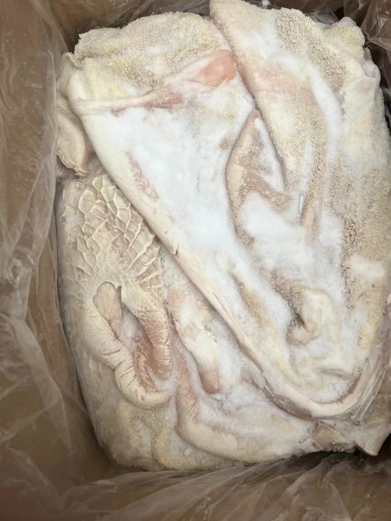 国产半成品牛肚，量大优惠产地直发质量保证