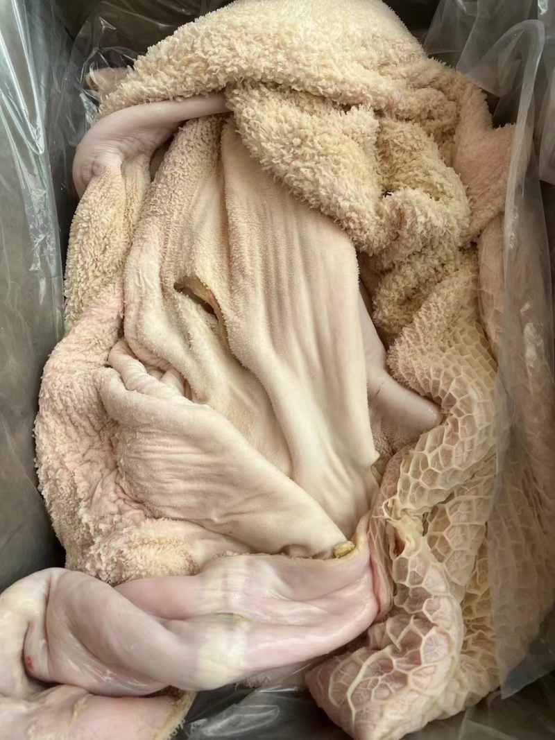 国产半成品牛肚，量大优惠产地直发质量保证