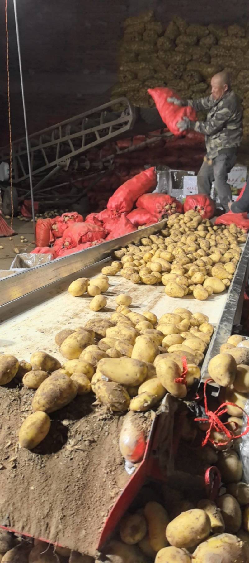 内蒙黄皮黄心土豆批发市场电商商超可定制规一手货源产地直发