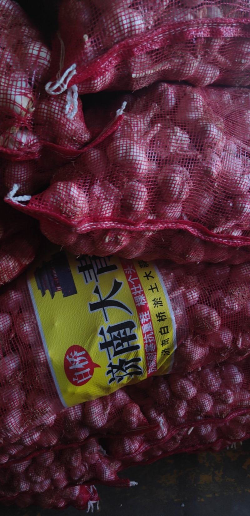 【存活率高】供应优质大蒜种皮好瓣大价格优惠常年供应