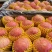 正宗【红富士苹果】条纹!全红都有,口感脆甜!对接商超电商