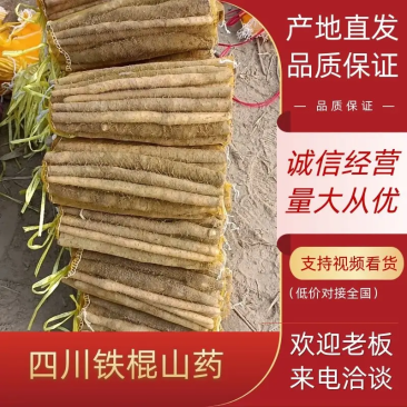 【山药】精品铁棍山药大量上市口感香糯品质优美