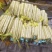 【山药】精品铁棍山药大量上市口感香糯品质优美