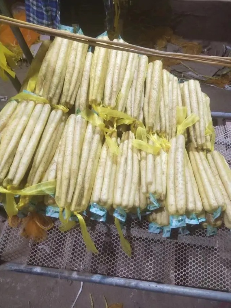【山药】精品铁棍山药大量上市口感香糯品质优美