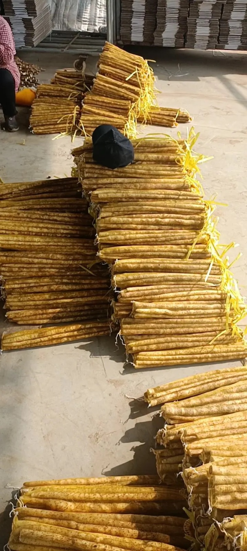 【山药】精品铁棍山药大量上市口感香糯品质优美
