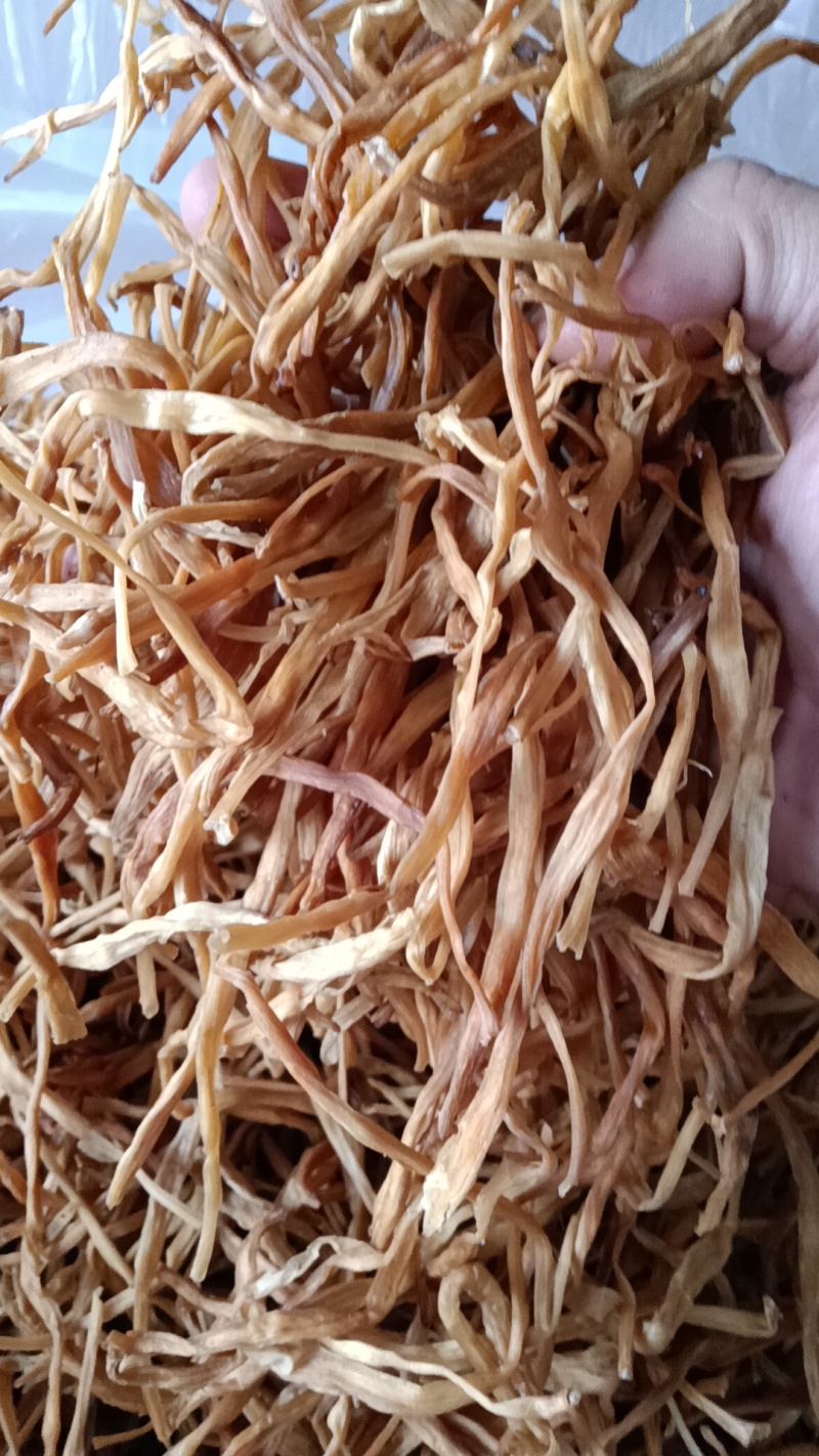 【好货推荐】新货二级祁东黄花菜线下有实体店全年供货