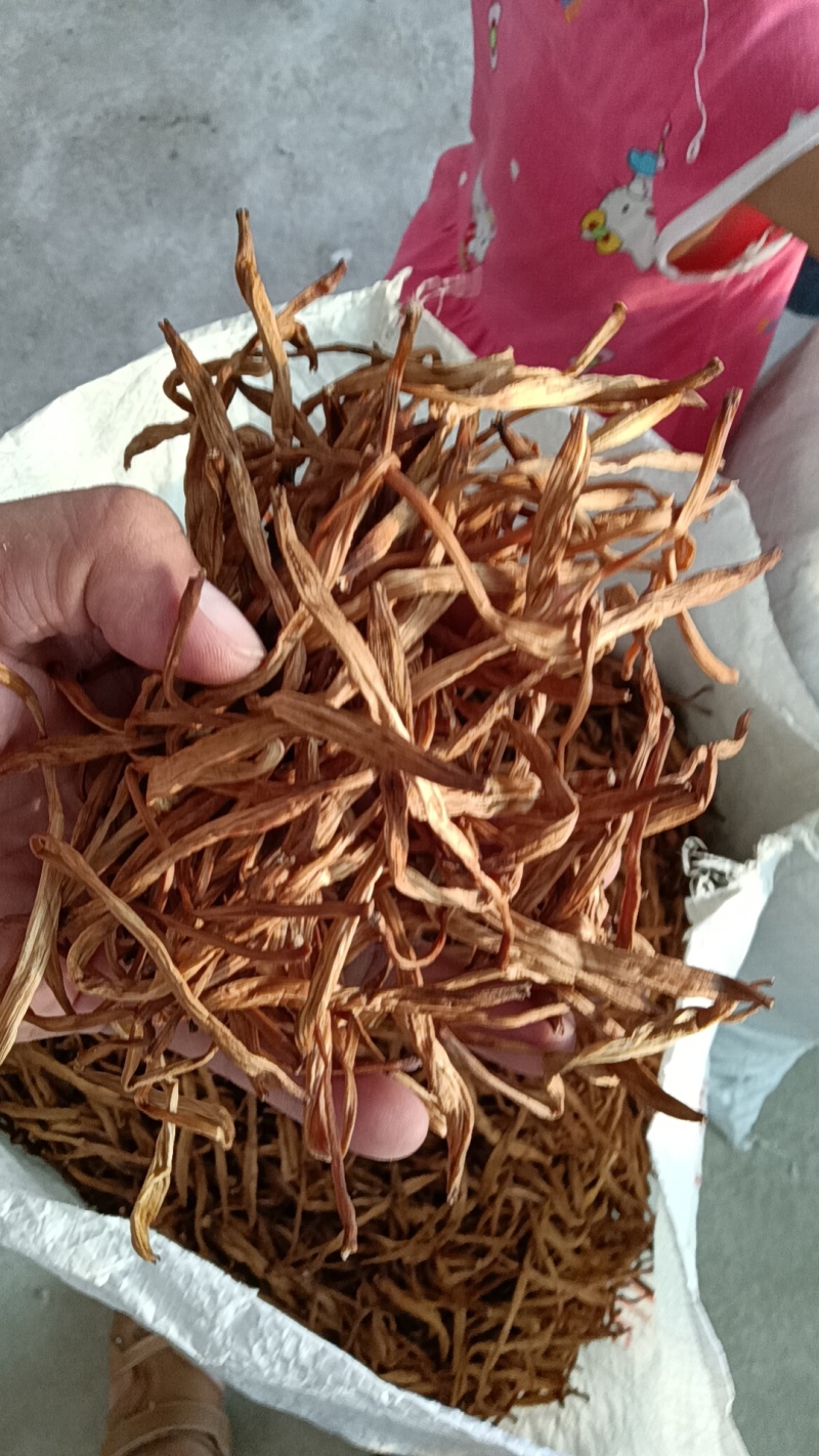 【精选黄花菜】祁东黄花菜新货大白条冷藏干黄花菜