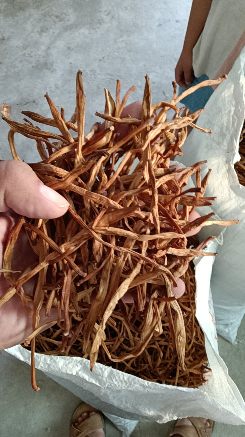 【精选黄花菜】祁东黄花菜新货大白条冷藏干黄花菜