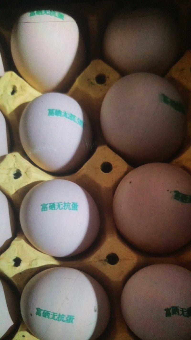 石家庄，粉蛋黄心，红心，乌鸡蛋