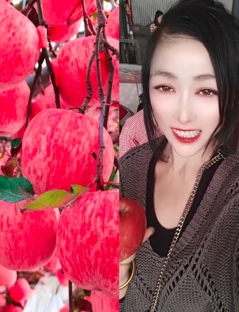 红富士苹果80mm以上以手选为主，品质保证！常年有货脆甜