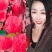 红富士苹果80mm以上以手选为主,品质保证!常年有货脆甜