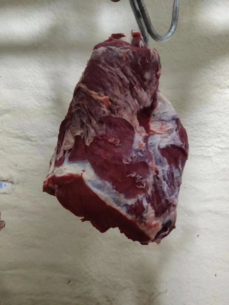 鲜牛肉，母牛肉，粗修牛肉，冷鲜牛肉，公牛肉