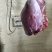 鲜牛肉，母牛肉，粗修牛肉，冷鲜牛肉，公牛肉