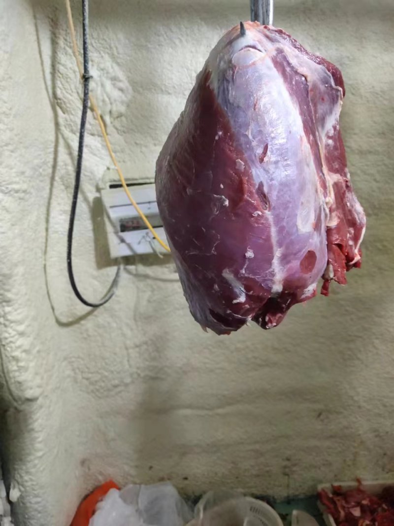 鲜牛肉，母牛肉，粗修牛肉，冷鲜牛肉，公牛肉