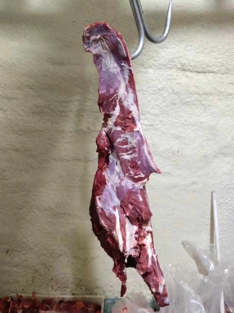 鲜牛肉，母牛肉，粗修牛肉，冷鲜牛肉，公牛肉