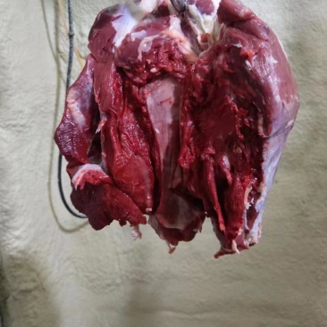 鲜牛肉，母牛肉，粗修牛肉，冷鲜牛肉，公牛肉