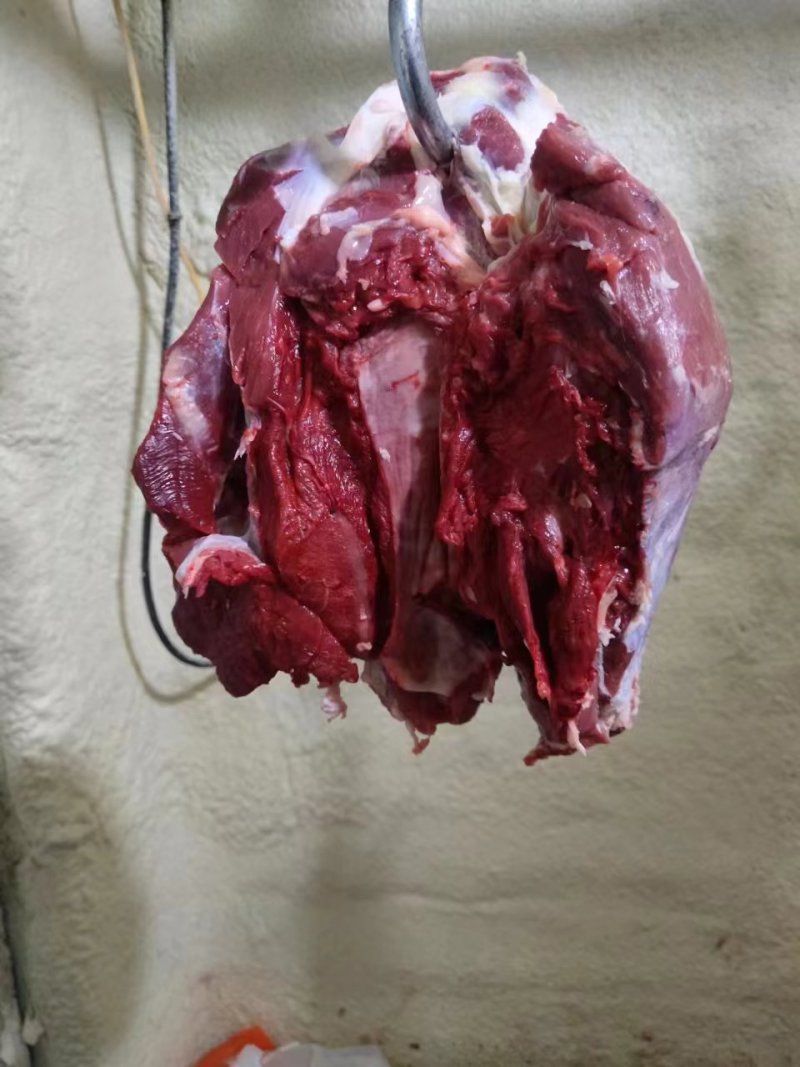 鲜牛肉，母牛肉，粗修牛肉，冷鲜牛肉，公牛肉