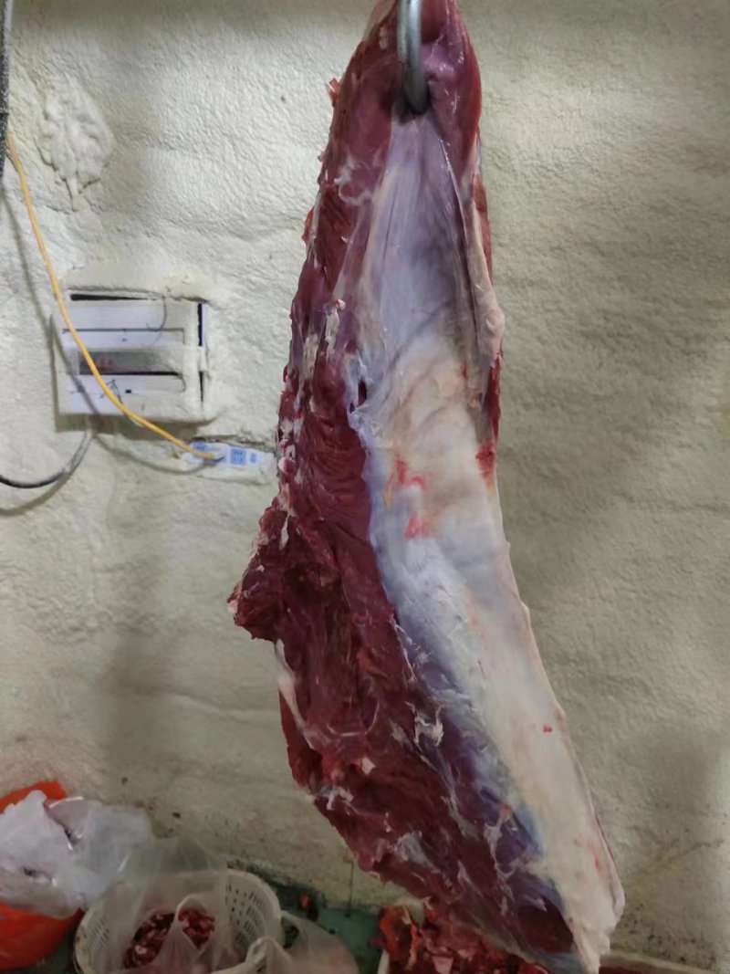 鲜牛肉，母牛肉，粗修牛肉，冷鲜牛肉，公牛肉