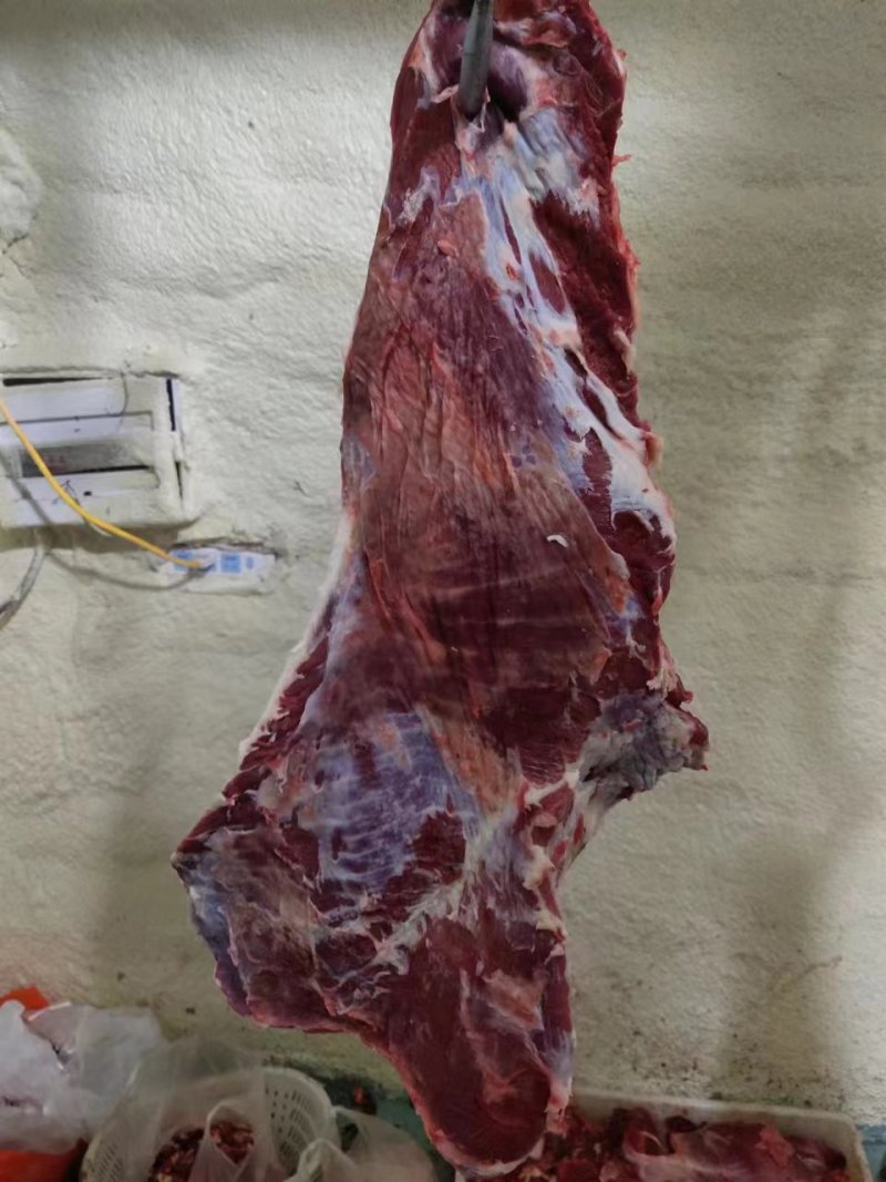 鲜牛肉，母牛肉，粗修牛肉，冷鲜牛肉，公牛肉