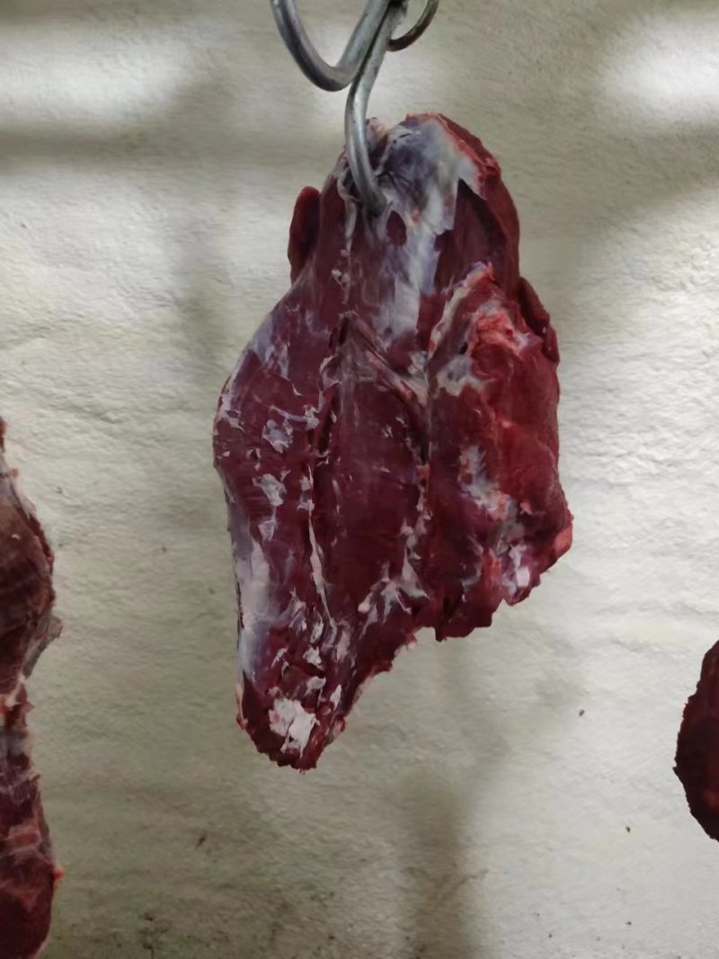 鲜牛肉，母牛肉，粗修牛肉，冷鲜牛肉，公牛肉