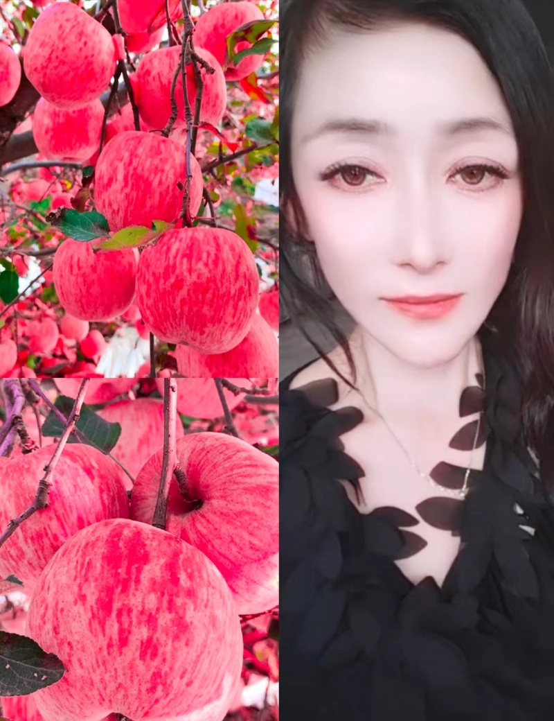 【电商货常年有货】山区红富士苹果以品质畅销全国！以质量生