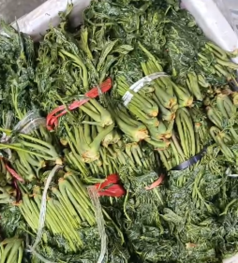 腌制香椿咸菜下饭菜山东特产量大质优