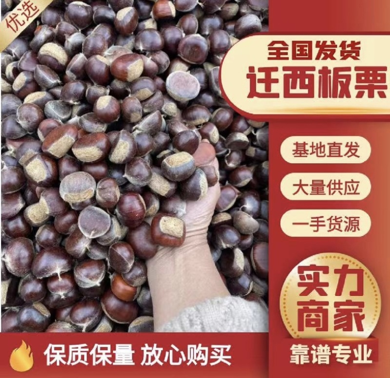 【正宗老树板栗】炒货店专用板栗批发软糯香甜产地发货量大优先