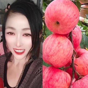 山东【水晶富士】色泽鲜艳口感脆甜支持视频看货选果代收代存