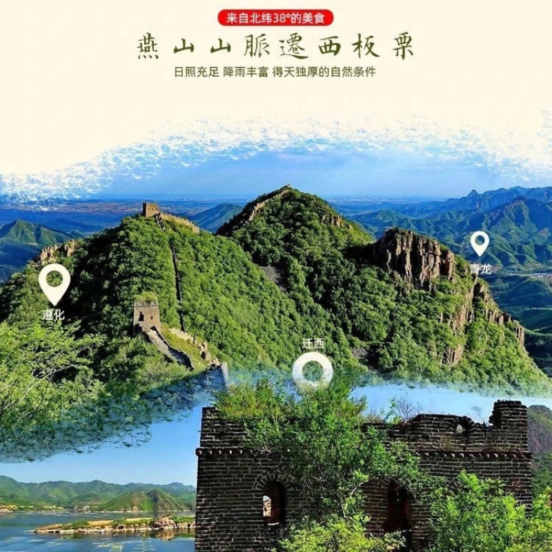 迁西县3113板栗个大价格便宜香甜可口质量保证