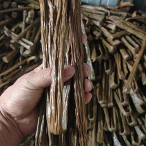精品黑豆腐竹一手货源全国发货量大价优欢迎随时联系