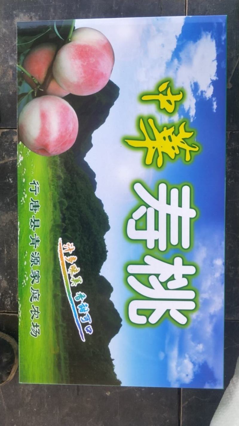中华寿桃