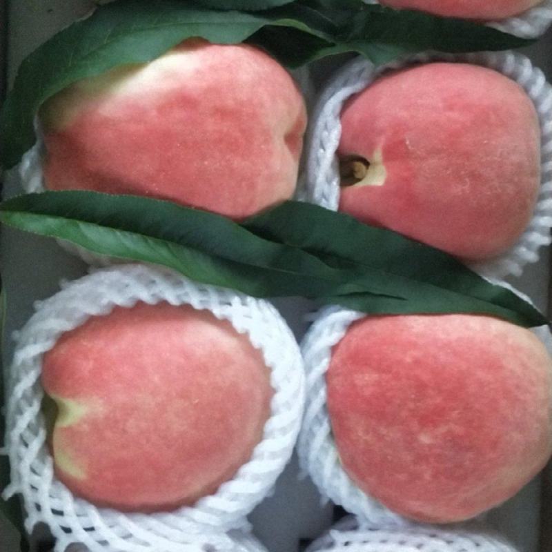 中华寿桃