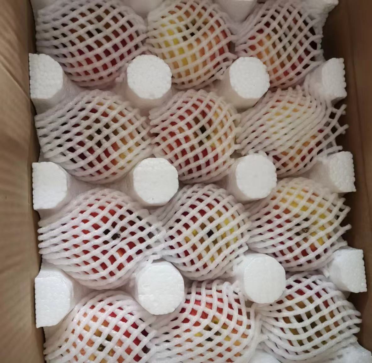 昭通苹果电商包装与物流现场