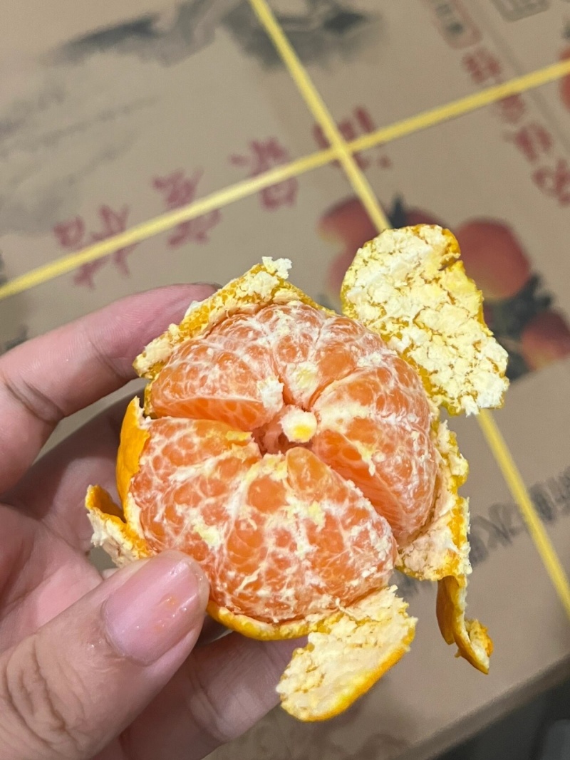 非常好吃！正宗涌泉蜜橘黄岩橘子货源一件代发批发微商团购