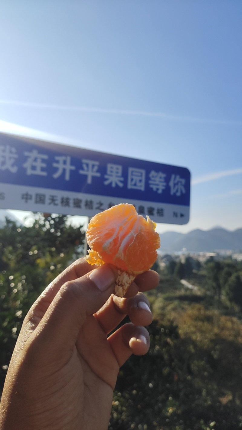 非常好吃！正宗涌泉蜜橘黄岩橘子货源一件代发批发微商团购