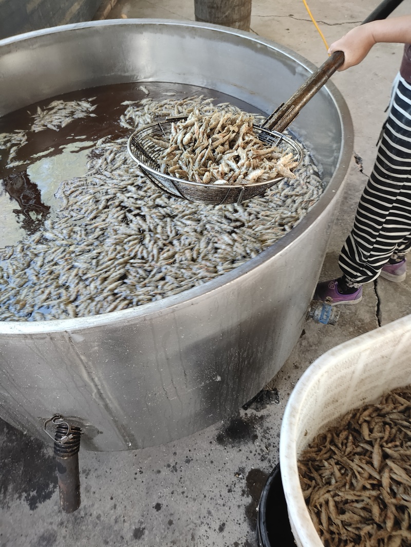 麦穗鱼油炸麦穗鱼规格齐全质量保证欢迎咨询