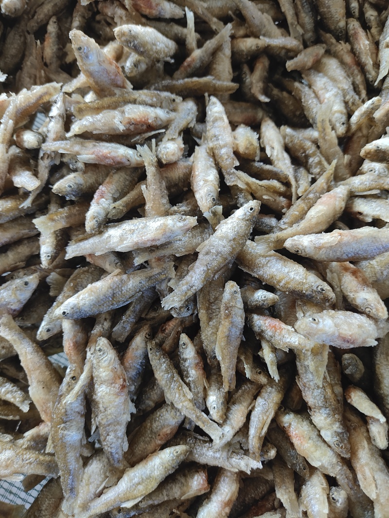 麦穗鱼油炸麦穗鱼规格齐全质量保证欢迎咨询