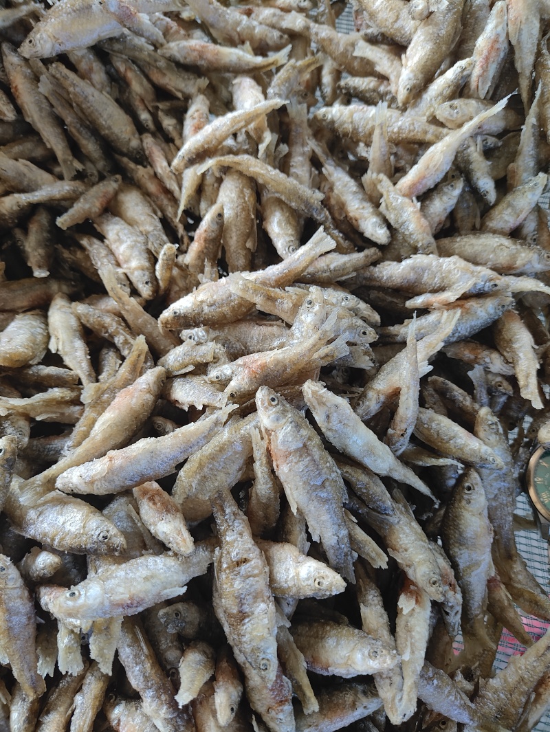 麦穗鱼油炸麦穗鱼规格齐全质量保证欢迎咨询