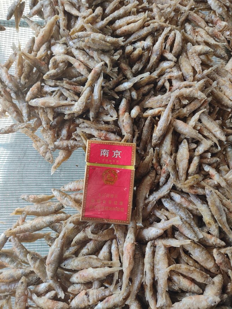 麦穗鱼油炸麦穗鱼规格齐全质量保证欢迎咨询