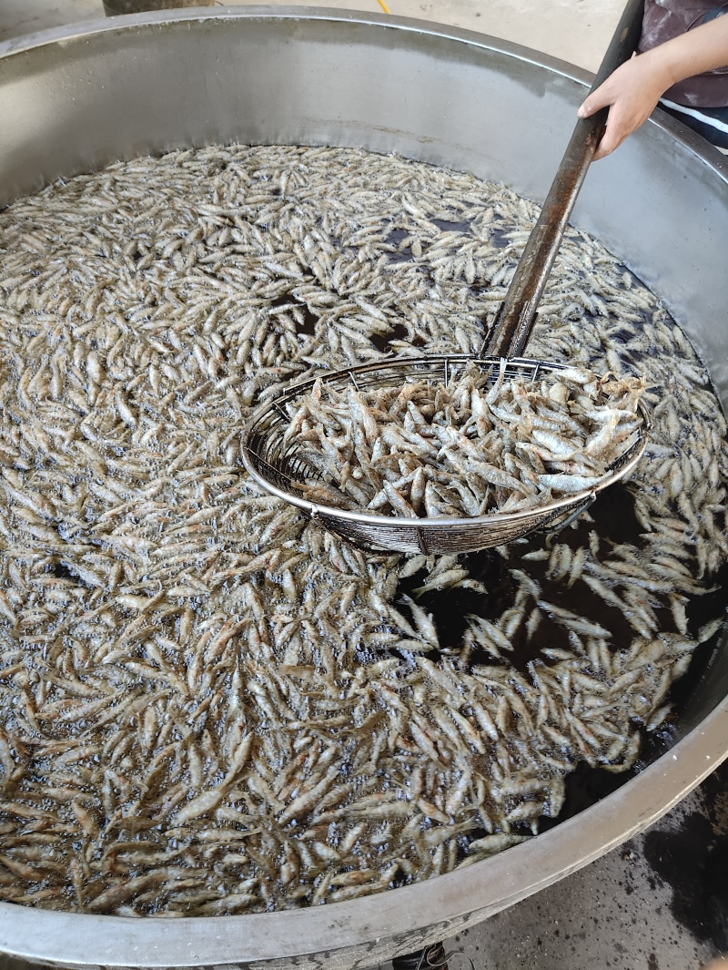 麦穗鱼油炸麦穗鱼规格齐全质量保证欢迎咨询