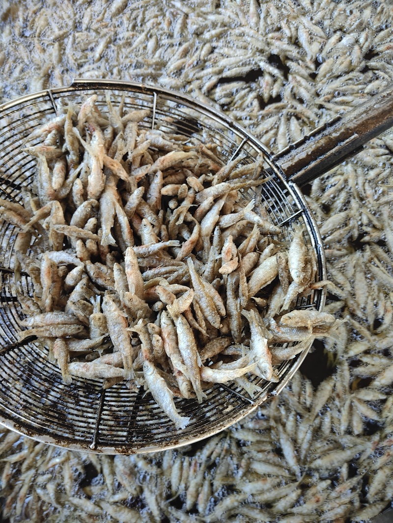 麦穗鱼油炸麦穗鱼规格齐全质量保证欢迎咨询