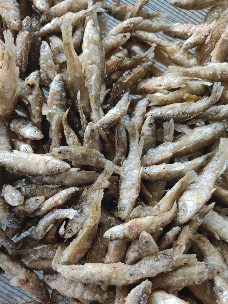 麦穗鱼油炸麦穗鱼规格齐全质量保证欢迎咨询