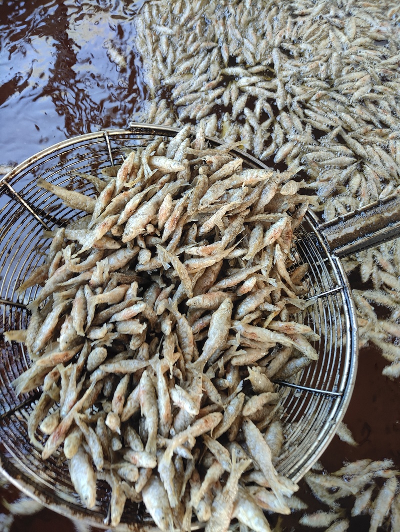 麦穗鱼油炸麦穗鱼规格齐全质量保证欢迎咨询