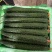 刺黄瓜25公分以上鲜花带刺
