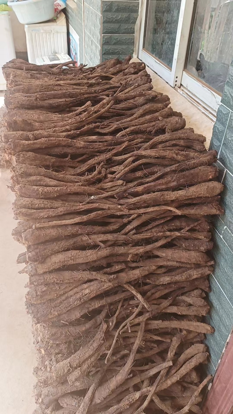 正品野生木香药材木香片木香中药包邮特级广木香中药材