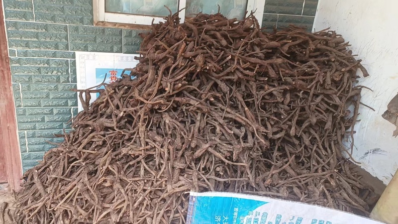 正品野生木香药材木香片木香中药包邮特级广木香中药材