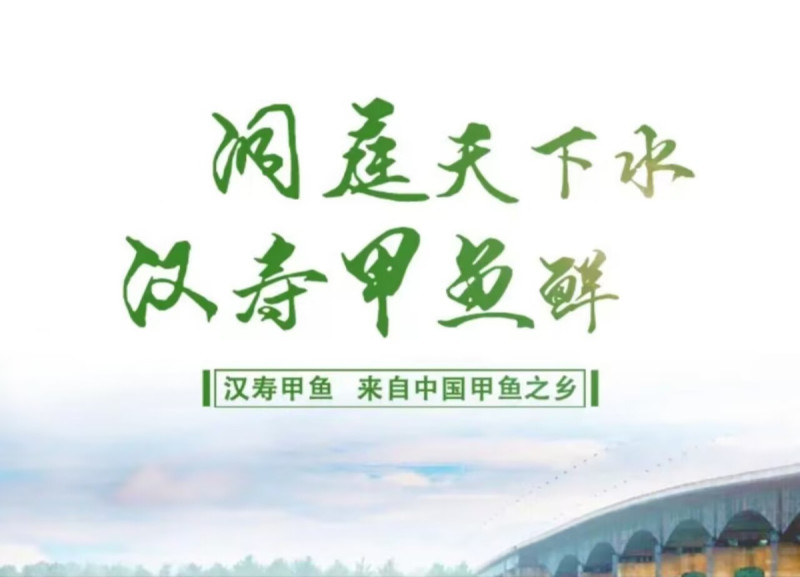 汉寿县甲鱼产地发货，品质保证，量大从优！欢迎各大客商电联